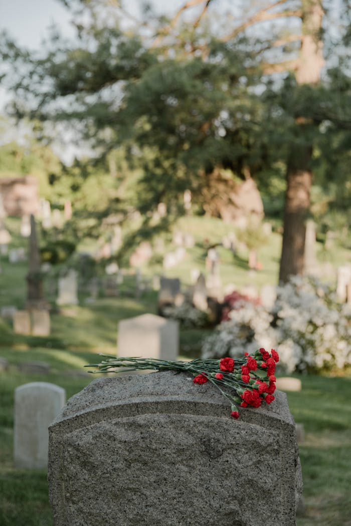 pexels photo 8865446